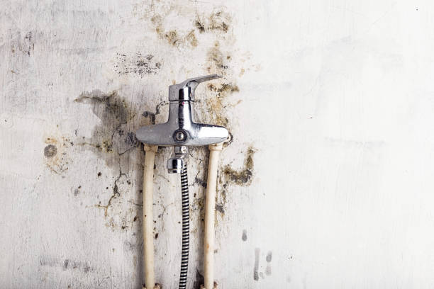 Best Water Damage Restoration  in Half Moon Bay, CA