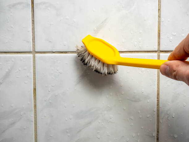  Half Moon Bay, CA Mold Removal Pros